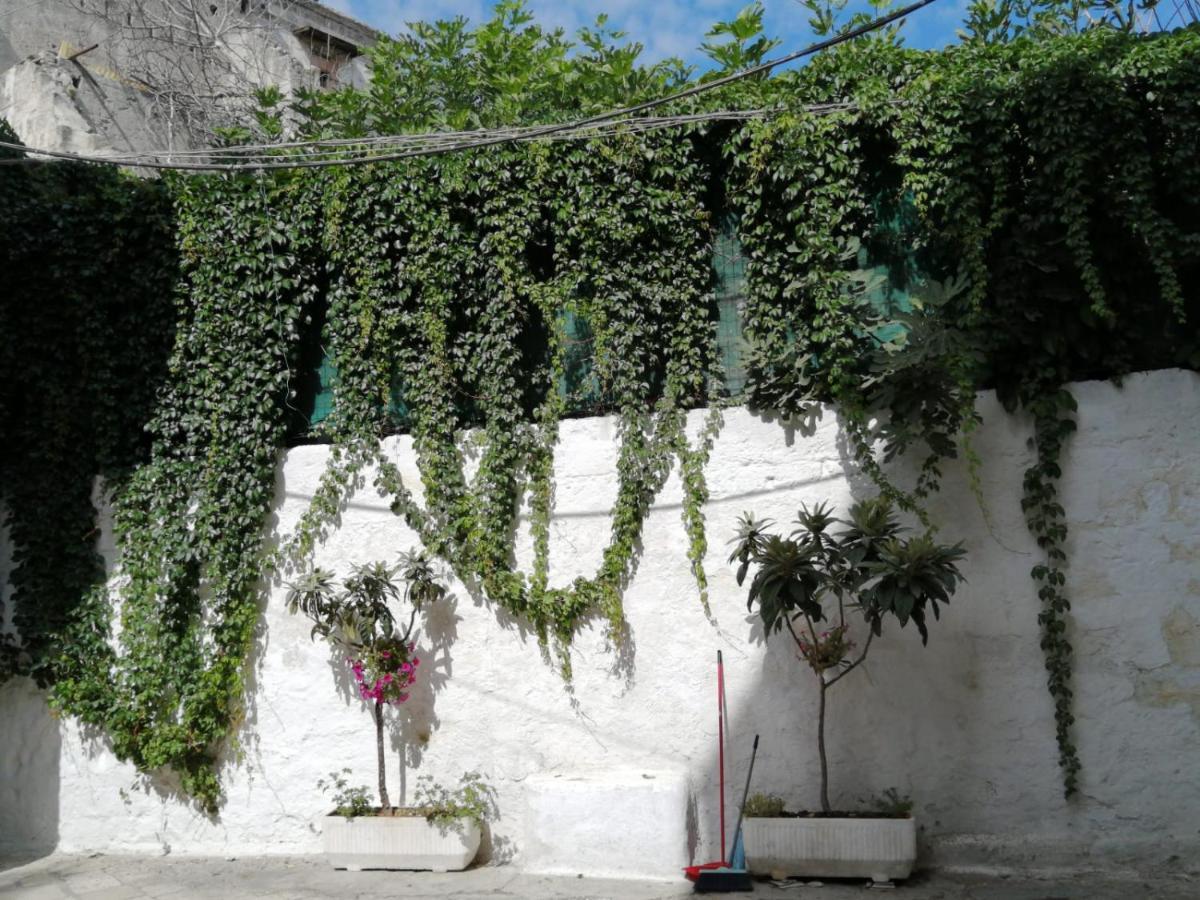Borgo Fontana B&B Bari Exteriér fotografie